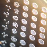 Yeast Mutated to Develop Brain Defects: A Curious Case