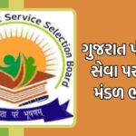 ਗુજરાત પંચાયત સેવા ભરતી : સમગ્ર ગુજરાતમાં સરકારી નોકરી ਮેળવવાની તક
