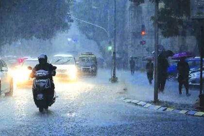 આજથી 3 દિવસ મુંબઈ, થાણેમાં અતિભારે વરસાદની ચેતવણી, હવામાન વિભાગની લોકોને એલર્ટ રહેવા અપીલ  આજથી 3 દિવસ મુંબઈ, થાણેમાં અતિભારે વરસાદની ચેતવણી, હવામાન વિભાગની લોકોને એલર્ટ રહેવા અપીલ 'રેડ' અલર્ટની ચેતવણીથી લોકો અલર્ટ રહેવા હવામાન વિભાગે કહ્યું છે. હવામાન વિતગની ચેતવણી હવામાન વિભાગ દ્વારા જોયાયું છે કે આજે થાની માટે આગાહી અંગે તરત જ સુચના આપી જોવા મળી છે અને મુંબઈ, થાણેમાં 3 દિવસ સુધી અતિભારે વરસાદની સંભાવના છે. નાના મોટા જિલ્લા માટે જુદી જુદી આગાહી મુંબઈ અને ઠાણે માટે ‘બીજી’ કાઢેલી આગાહી વિશેષ વિભાગે આપી છે, જેમાં હાલમાં આગળ જતી માન્સુનમાં ગુજરાતી બાહોશીથી આ ભારે વરસાદની સંભાવના વિષે ચેતવણી આપી છે. લોકોએ સાવચેતી રાખવાની સુચના આવા મોસમમાં લોકોએ સાવધ રહેવાની જરૂરિયાત છે, રેડ અને નેવિગેશન માટે સાવચેતી રાખવાની અપીલ લોકોને મદદ કરી શકે છે. હેવી રેઇનફોલ માટે તૈયારી આ આગાહીને અનુસરીને, લોકોએ હેવી રેઇનફોલ માટે અને વધુ સાવધાન બની તૈયાર રહેવા સમયસર પ્રયાસ કરવા આર્થિક મનોરાજક ઉપાયો લઈ શકે છે. અંતર્ગત વપરાશ માટે સુચના માનસુન મૌસમ તરીકે મુંબઈ, થાણેમાં અતિભારે વરસાદની સંભાવના છે, આમ જોવા મળતા અન્ય નાના નગરો માટે પણ ચેતવણી છે. હયાત રહેવા ટીપ્સ આ મીડિયમ હેવી રેઇનફોલની સમયમર્યાદામાં દૃષ્ટિએ લોકોએ અનુસરવા યોગ્ય ટીપ્સ સામેલ કરી શકાય જે તેમને જો અને બચાવ લેવામાં મદદ કરે.