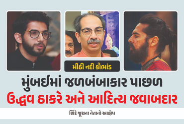 ઉદ્ધવ ઠાકર વિરુદ્ધ આરોપો મૂકતા શિંદે સ્વાગતી છું!  જ્યોર્જ ફર્નાન્ડિઝના વારસો મહીં શિંદેને કમાણી બોલિવૂડ ગાળ દીધાં!