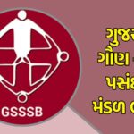 ગુજરાતમાં ઓજસ દ્વારા પ્રોજેક્ટ લાભાર્થીઓને નોકરી મળશે. વાંચો સંપૂર્ણ માહિતી.