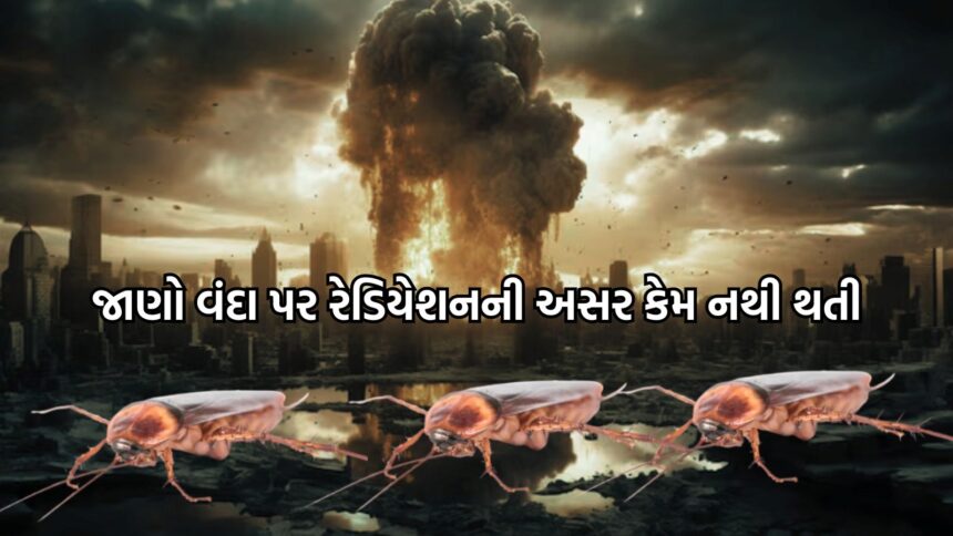 પરમાણુ હુમલાથી વંદાઓ મળતા કેમ નથી?