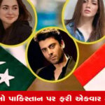 પાકિસ્તાની કન્ટેન્ટ પર ભારતમાં પ્રતિબંધ - ફિલ્મો, ગીતો અને પોડકાસ્ટ શોધવાનો અટકાવ