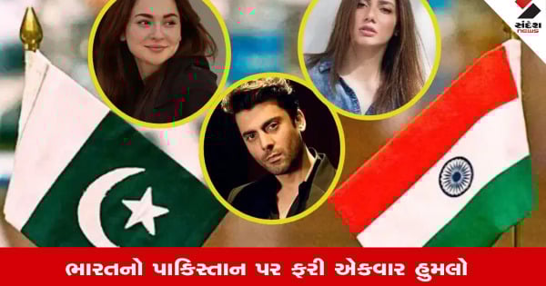 પાકિસ્તાની કન્ટેન્ટ પર ભારતમાં પ્રતિબંધ - ફિલ્મો, ગીતો અને પોડકાસ્ટ શોધવાનો અટકાવ