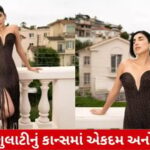 ભારતીય અભિનેત્રી રિયલ વાળથી બનેલો ડ્રેસ પહેરી કેન્સ પહોંચી