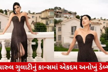 ભારતીય અભિનેત્રી રિયલ વાળથી બનેલો ડ્રેસ પહેરી કેન્સ પહોંચી