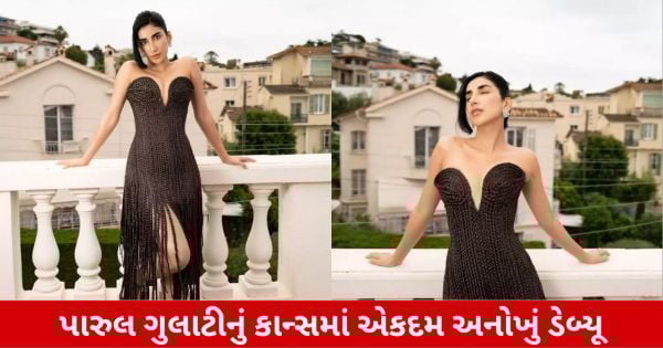 ભારતીય અભિનેત્રી રિયલ વાળથી બનેલો ડ્રેસ પહેરી કેન્સ પહોંચી