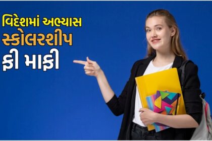 વિદેશમાં અભ્યાસ: ચાર લાખ સ્ટાઈપન્ડ અને ફી માફીની તક, જાણો કયો દેશ આપે છે જોરદાર તક