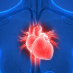 AI-Powered Cardiology Assistant Accelerates Early Heart Disease Detection for Healthcare Professionals - ET HealthWorld