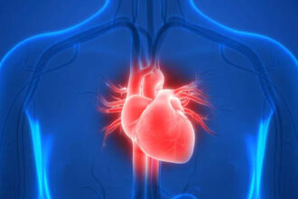 AI-Powered Cardiology Assistant Accelerates Early Heart Disease Detection for Healthcare Professionals - ET HealthWorld