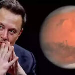 Elon Musk’s Mars Mission: Could It Shaped Humanity’s Future on ‘Red Planet’?" "Mars Mission: The Next Big Step for Humanity on Mars" "The Next Chapter for Humanity? 'Red Planet' Mission