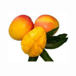 Mango Deal Boosts Ties Between Bangladesh and China