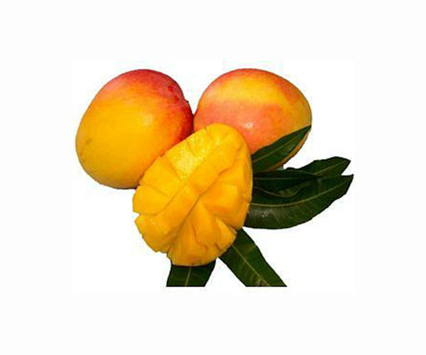 Mango Deal Boosts Ties Between Bangladesh and China