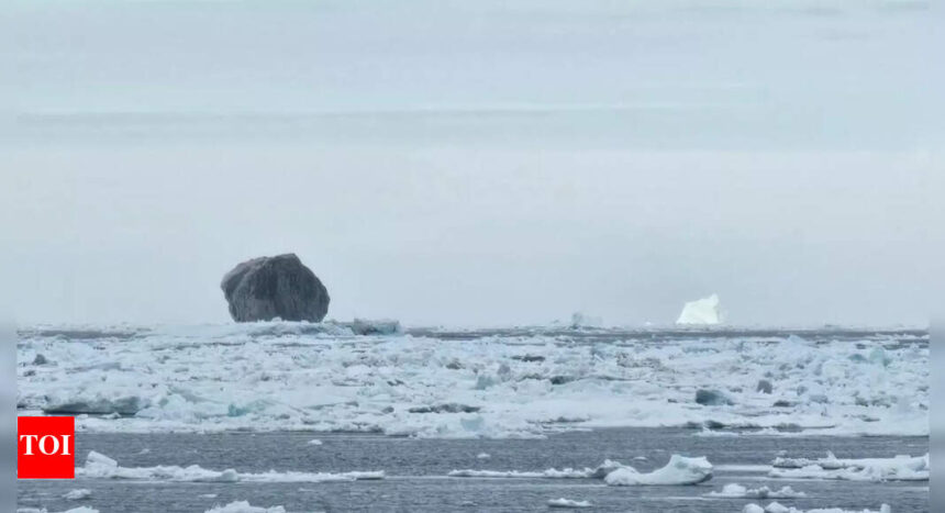 Rare Black Iceberg Spotted in Canada Exceeds Scientists' Curiosity with Its Mysterious Dark Hue |  THE PRIME NEWS NETWORK