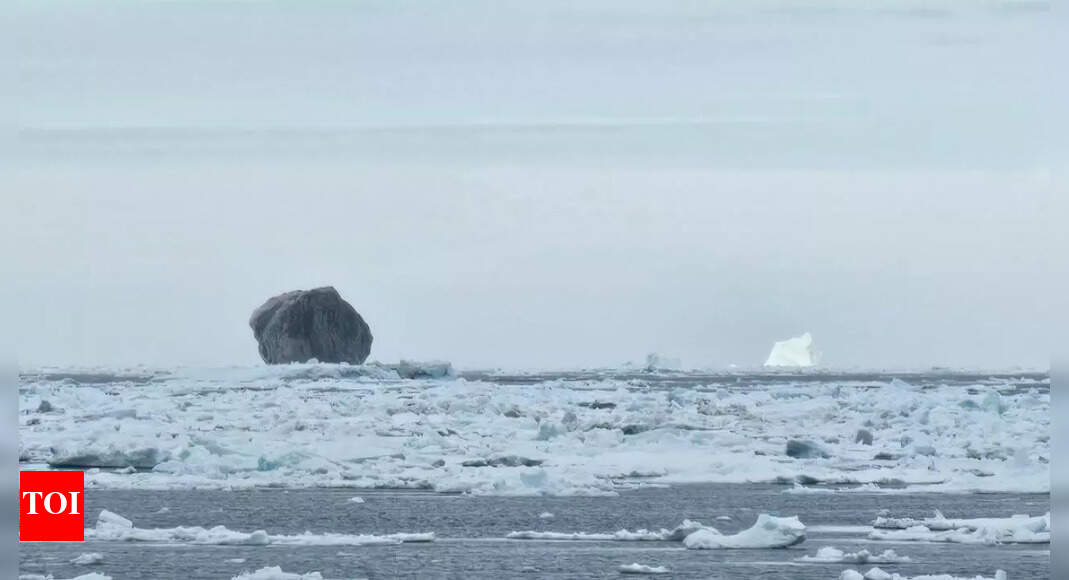 Rare Black Iceberg Spotted in Canada Exceeds Scientists' Curiosity with Its Mysterious Dark Hue |  THE PRIME NEWS NETWORK