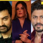 Richa Chadha Damages Aamir Khan Fan's Ego; She Lectures Him About Sharing Real Sources-Wilde Speech From The Screen-Crowned Slogan Adopting Swades Roots