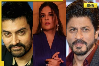 Richa Chadha Damages Aamir Khan Fan's Ego; She Lectures Him About Sharing Real Sources-Wilde Speech From The Screen-Crowned Slogan Adopting Swades Roots