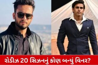 Roadies 20મી સિઝનમાં 'રોહની ગેંગ' જીતી; પ્રત્યેક વિજેતાને 2 લાખ રૂપિયાનું ઈનામ મળ્યું.
