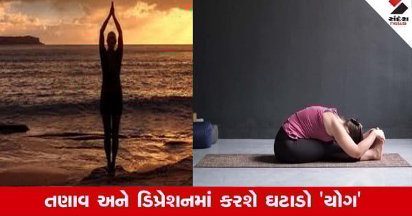 Yoga for Seniors: 30 વર્ષની ઉમંર પછી સ્વસ્થ રહેવા દિનચર્યામાં સામેલ કરો યોગ