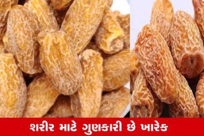 આયર્નની ઊણપ થશે દૂર, શરીરને મળશે તાકાત, આ ડ્રાયફ્રૂટ છે પાવરફુલ     આયર્નની ઊણપ થશે દૂર, શરીરને મળશે તાકાત, આ ડ્રાયફ્રૂટ છે પાવરફુલ