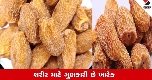 આયર્નની ઊણપ થશે દૂર, શરીરને મળશે તાકાત, આ ડ્રાયફ્રૂટ છે પાવરફુલ     આયર્નની ઊણપ થશે દૂર, શરીરને મળશે તાકાત, આ ડ્રાયફ્રૂટ છે પાવરફુલ