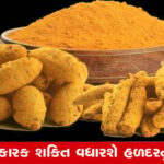 ઉનાળામાં હળદરનું સેવન: આરોગ્ય માટે લાભકારક