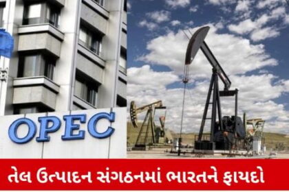 ઓપેક દેશો દરરોજ ભારતને કેટલું કાચું તેલ આપે છે તેના આંકડા જાણો