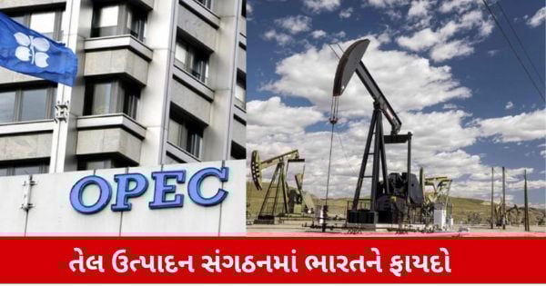 ઓપેક દેશો દરરોજ ભારતને કેટલું કાચું તેલ આપે છે તેના આંકડા જાણો