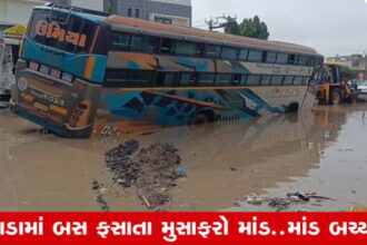 ખાડામાં ફસાયેલી બસ: રાજકોટ-કેશોદ માર્ગે મુસાફરો જોખમાયા