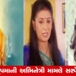 જાણો કોણ સાસુ છે ફરી તોપ જેવી અભિનેત્રી ક્યુંકી સાસ ભી કભી બહુથી સીક્વલમાં