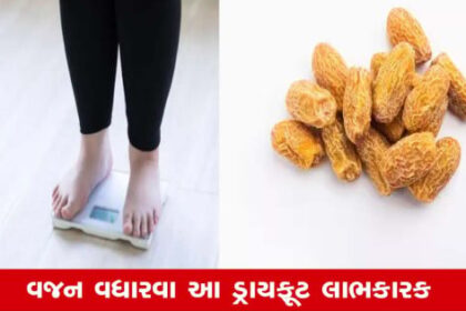 પોષક તત્ત્વોનો ખજાનો છે આ ડ્રાયફૂટ, દૂબળા લોકો માટે સાચો અમૃત, મળશે કડાકા વજન: અધ્યયન