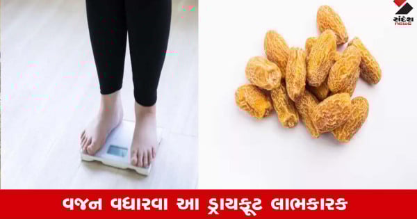 પોષક તત્ત્વોનો ખજાનો છે આ ડ્રાયફૂટ, દૂબળા લોકો માટે સાચો અમૃત, મળશે કડાકા વજન: અધ્યયન
