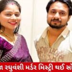 માત્ર હેડિંગ:
રાજા રઘુવંશી હત્યાનું રહસ્ય ઉઘાડું પડ્યું! ચારેય આરોપીઓએ ગુનો કબૂલ્યો