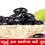 શરીર માટે લાભદાયક છે જામુન, ખાવાની આ ખાસિયત છે નહીંકે?  અહીં ન્યૂઝ શૈલી અને SEO-ફોકસ છે અને ટૂંકથી માહિતી પ્રદાન કરવામાં આવી છે.
