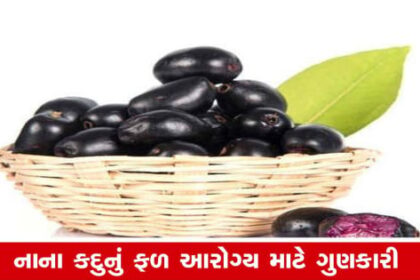 શરીર માટે લાભદાયક છે જામુન, ખાવાની આ ખાસિયત છે નહીંકે?  અહીં ન્યૂઝ શૈલી અને SEO-ફોકસ છે અને ટૂંકથી માહિતી પ્રદાન કરવામાં આવી છે.