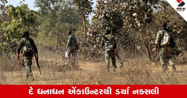 સુકમામાં 16 નક્સલીઓ આત્મસમર્પણ, 25 લાખની ઘોષણા કરવામાં આવી 
 
Chhatisgrah: 16 નક્સલીઓએ સુકમા જિલ્લાની એસપીઢી કેપમાંસ્યુસ સમિતિમાં આત્મસમર્પણ કર્યુ હતુ.

 
રાજ્યના મુખ્યમંત્રી વિશેષ રોકડ ઇનામની ઘોષણા કરી હતી.

 
સુકમાથી આત્મસમર્પણ કર્યા માટે 16 નક્સલીઓ 25 લાખ રૂપિયા માટે પાત્ર છે.

 
મુખ્યમંત્રી ભૂપેશ બઘેલ સમિતિના નીતિઓ અનુસાર 16 નક્સલીઓને 25 લાખ રૂપિયાનું ઇનામ અપાશે.

 
સુકમા પોલીસ અને CRPF Jఠિત કરેલા અભિયાનોના પ્રમાણમાં ઇનામ કરવામાં આવ્યું છે.

 
આ નક્સલીઓ સુકમા જિલ્લાની ઈનસરગી અને જગરગુડા તાલુકામાં સક્રીય હતા.