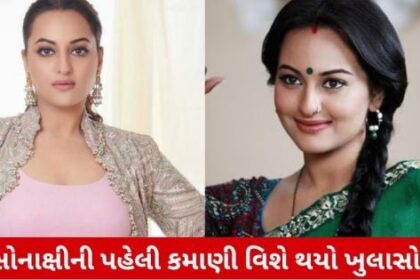 સોનક્ષી સિન્હાનો શરૂઆતનો કમાઈ શું હતો?